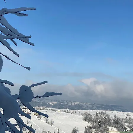 Domki Jawor Zakopane Zewnętrze zdjęcie